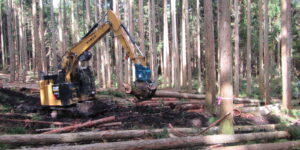 林業作業の状況、作業員募集中